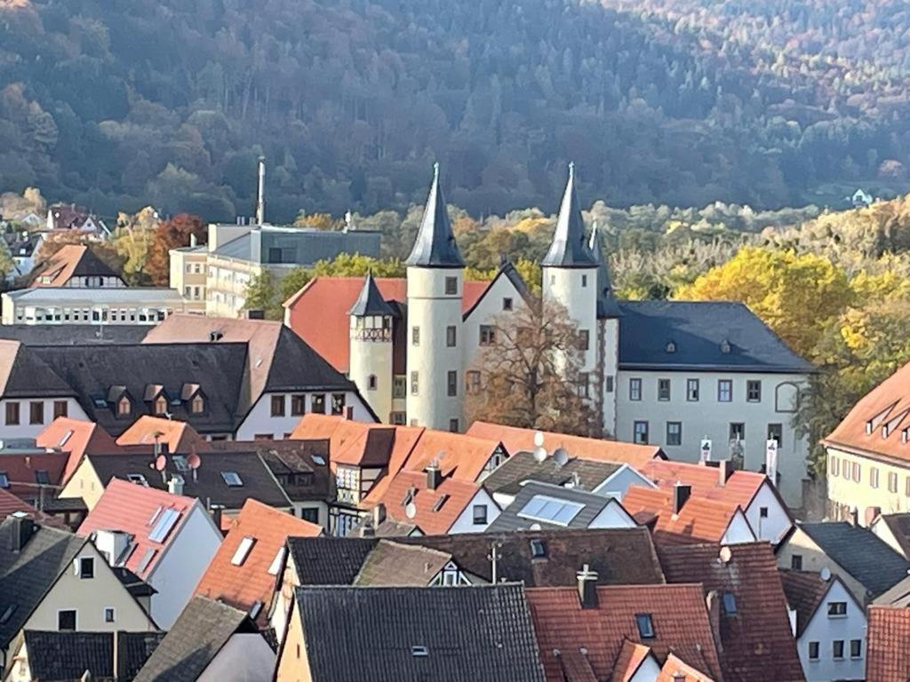 Ferienwohnung Im Springerhof Lohr Exterior foto